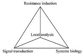 Interaktion von Forschungsfeldern